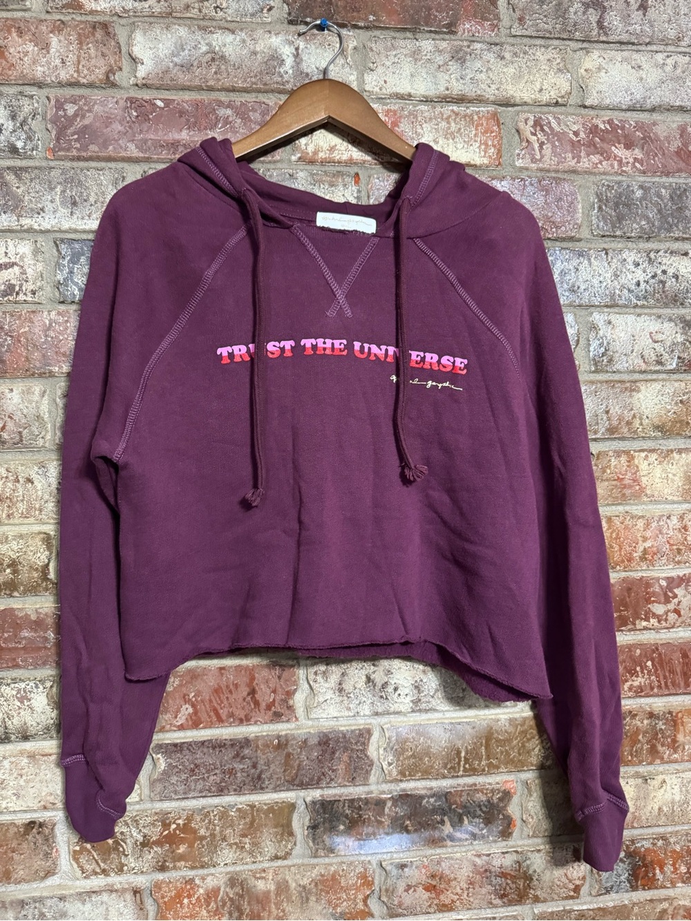 NWT Spiritual Gangster Cropped Hoodie Sweater - Plum